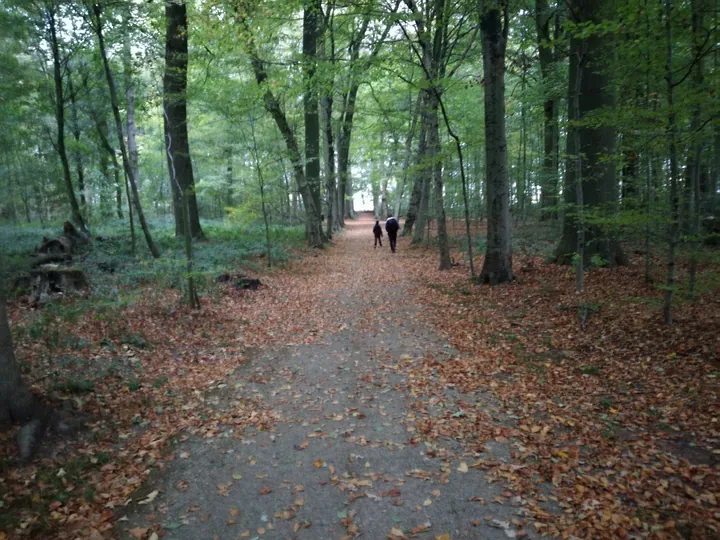 Gaasbeek + Kasteel van Gaasbeek (Lennik, België)